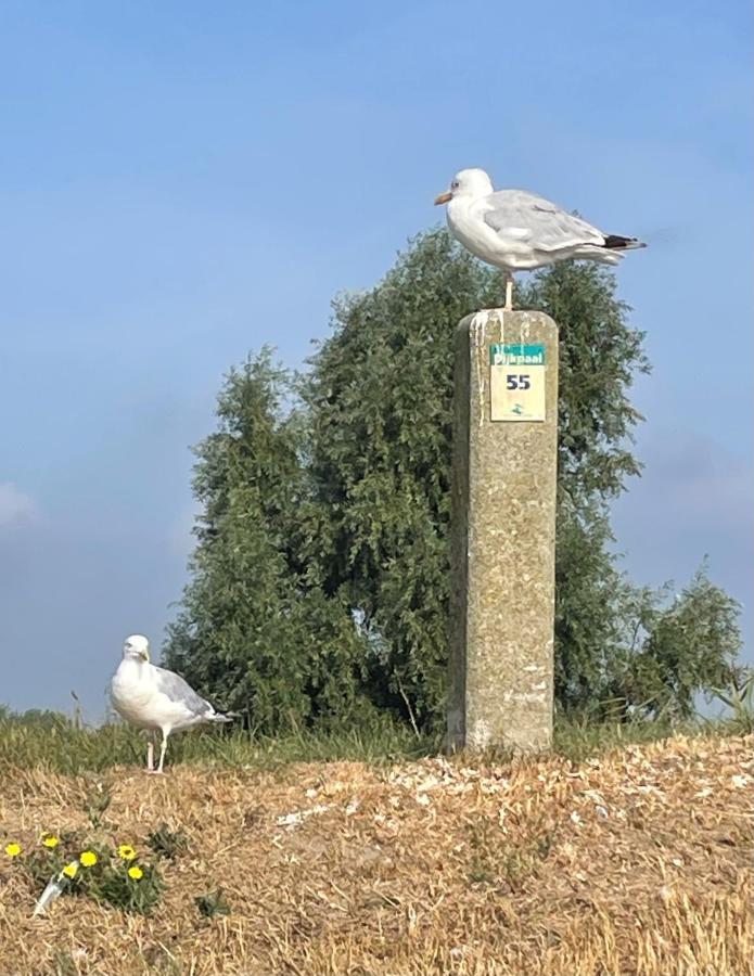 Cote Jardin Vakantiehuis *
